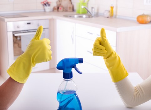 Professional upholstery cleaning in Tottenham Hale for a fresh sofa