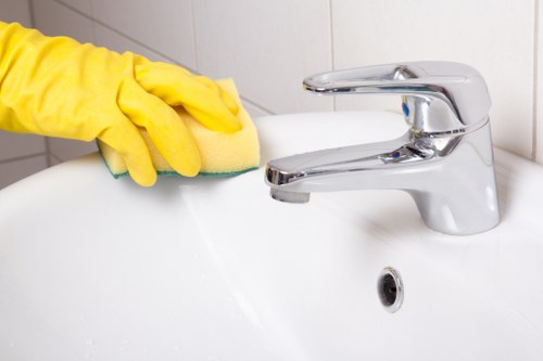 Fresh and hygienic home after pet stain odour removal in Tottenham Hale