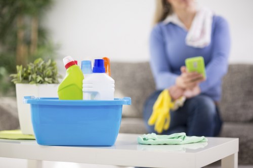 Cleaning fabric furniture in a Tottenham Hale home