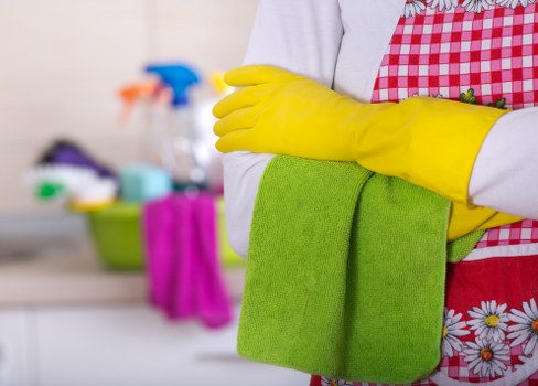 Pet stain odour removal service in Tottenham Hale for upholstery