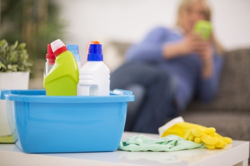 Carpet and upholstery stain treatment in Tottenham Hale