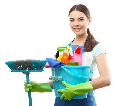 Enzyme cleaning process for pet stains and smells in Tottenham Hale