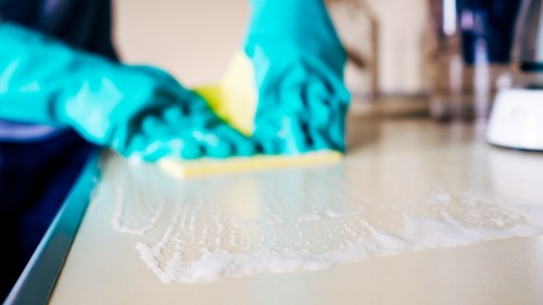 Deep cleaning treatment for pet odour removal in Tottenham Hale