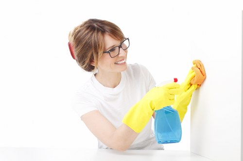 Cleaning solution and tools used for carpet stain treatment