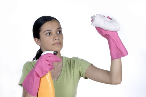 Illustration of encrypted online carpet cleaning payment