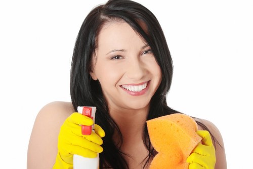 Upholstery deep cleaning process in Tottenham Hale